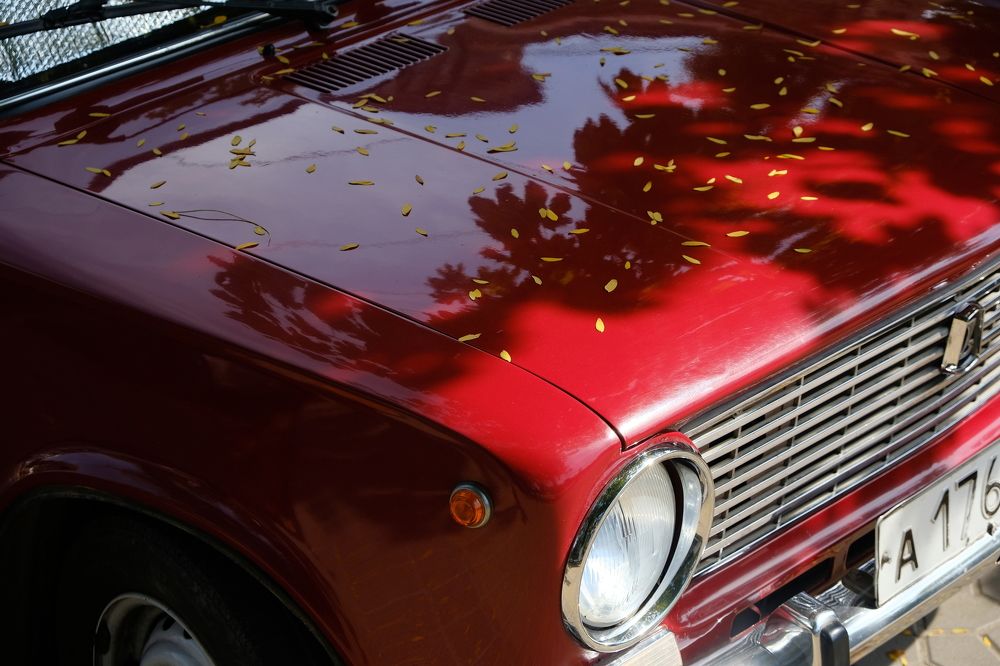 Photograph by Никита Баранов