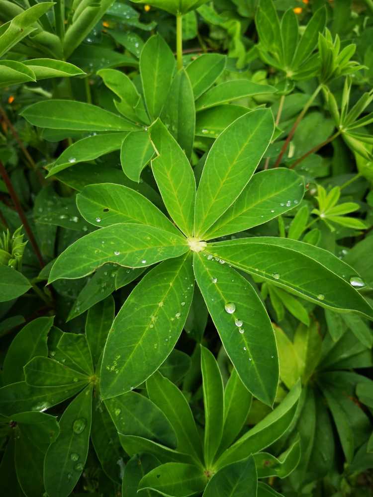 Photograph by Анастасия