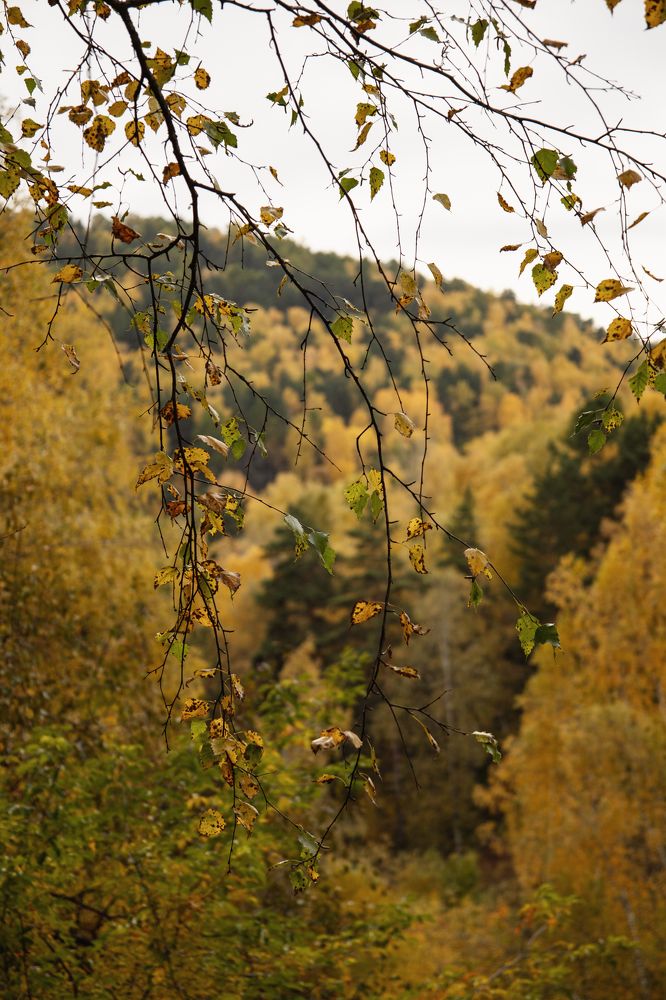 Photograph by Анастасия Семкина