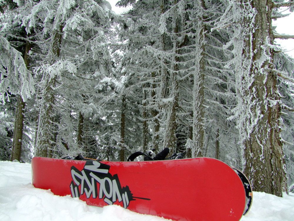 Photograph by Cengiz Yalcin