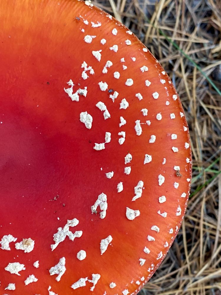 Фотография автора Александр Заикин