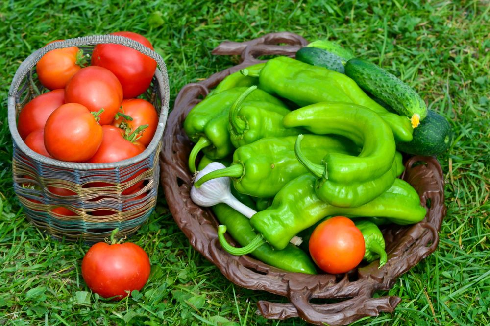 Photograph by александр фетисов