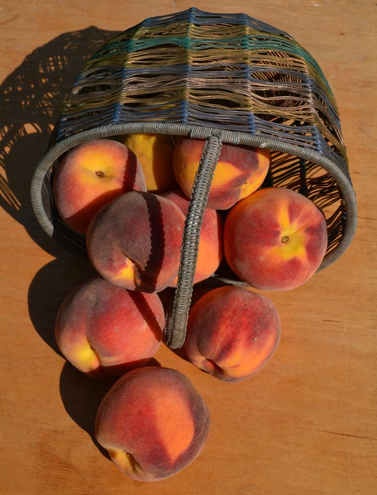 Photograph by александр фетисов