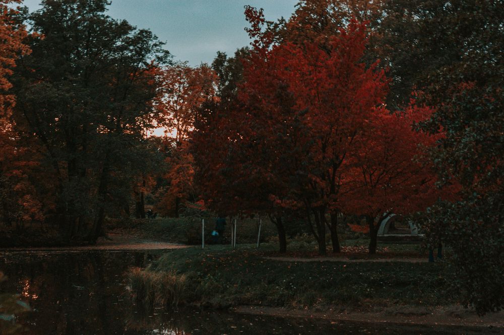 Photograph by Дмитрий Пастернак