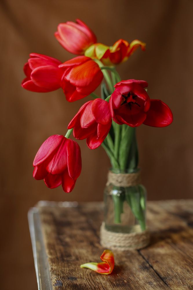 Photograph by Ольга