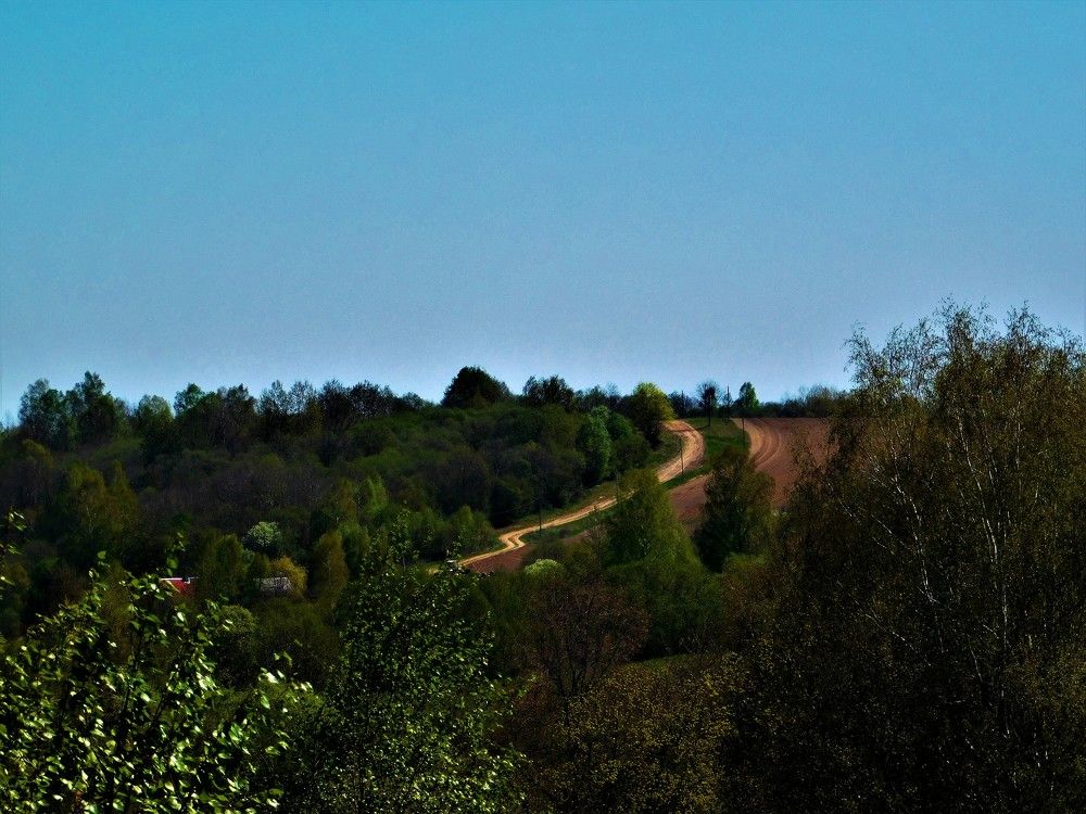 Photograph by Виктория Спицына