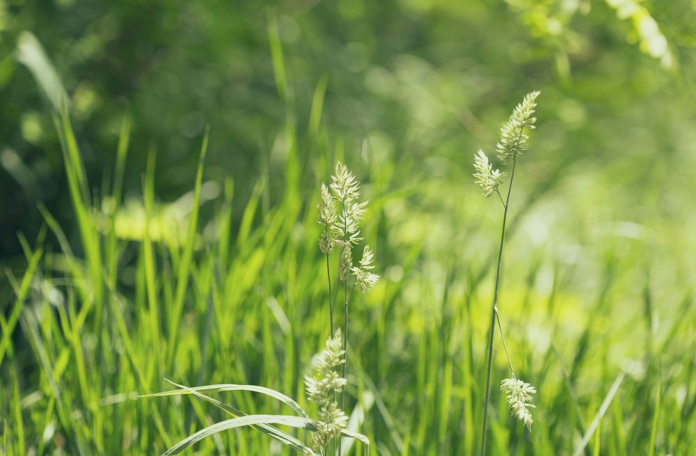 Photograph by Tatiana Kravchuk