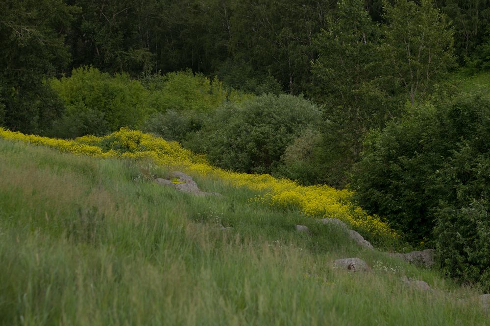 Фотография автора Светлана Бобошина