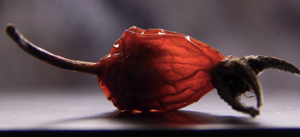 Photograph by Наталья Соколова