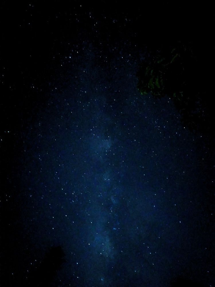 Photograph by Thimira adinisuru Ayiththappullige