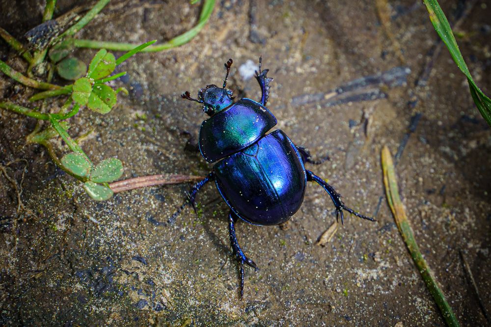 Photograph by Valdis Serzhans