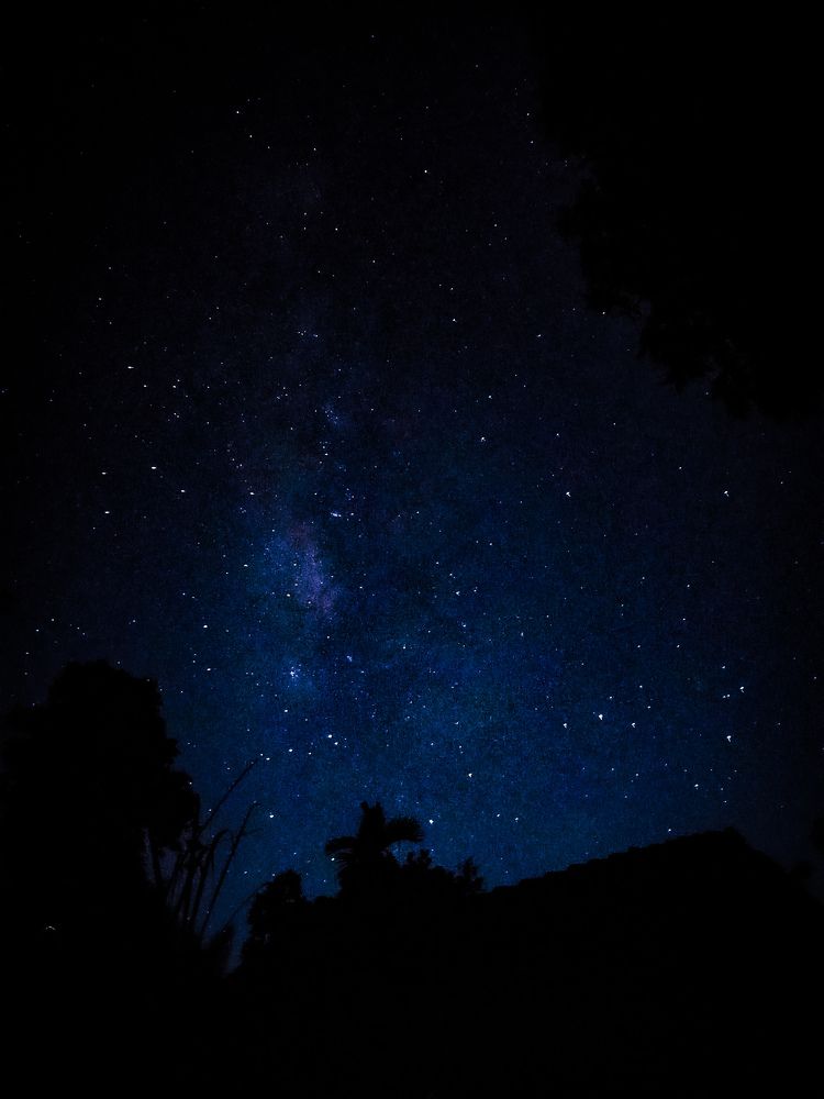 Photograph by Thimira adinisuru Ayiththappullige