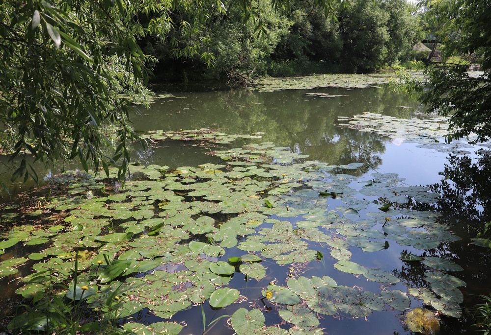 Photograph by владимир Заворотный