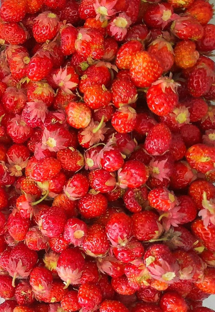 Photograph by Преснухина Екатерина