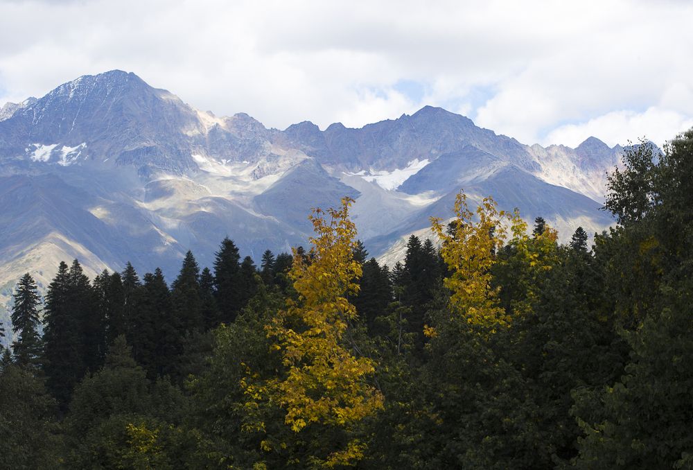 Photograph by Tatiana Kravchuk