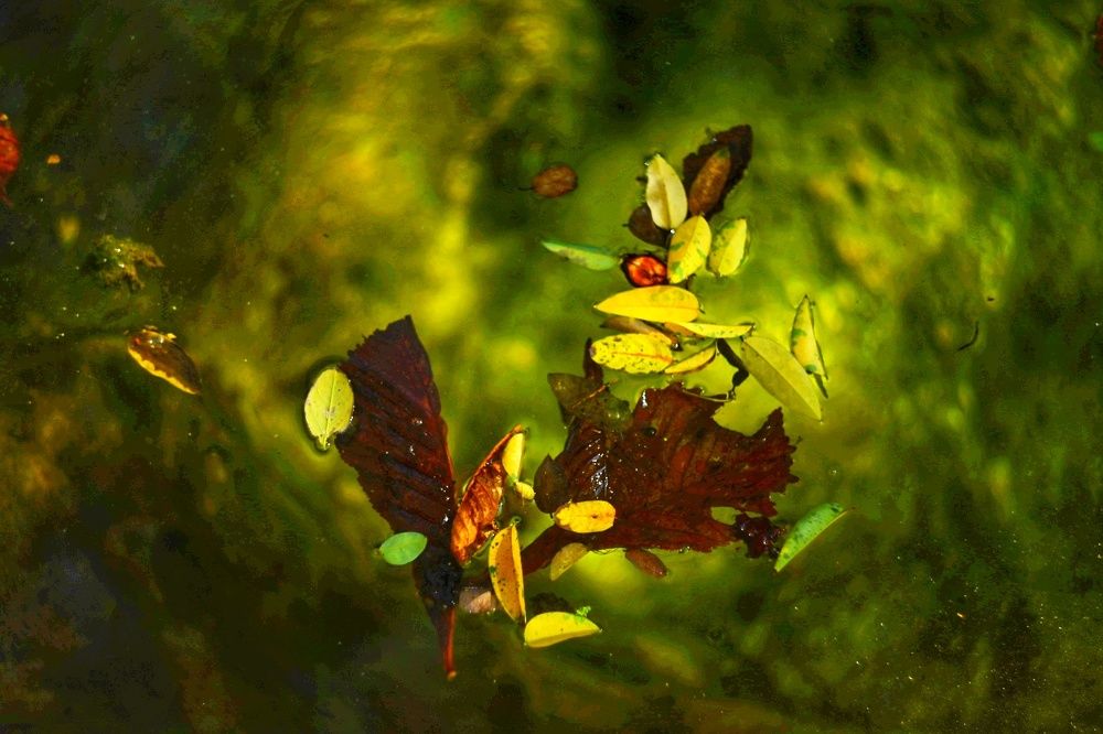 Photograph by Anna Parshenko