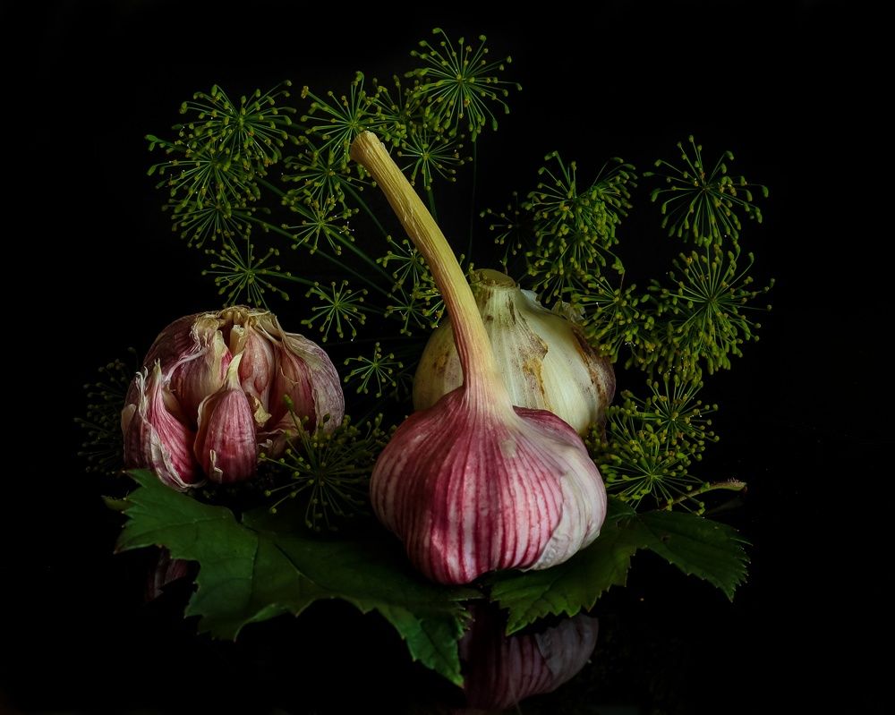 Photograph by Лидия Чугришина