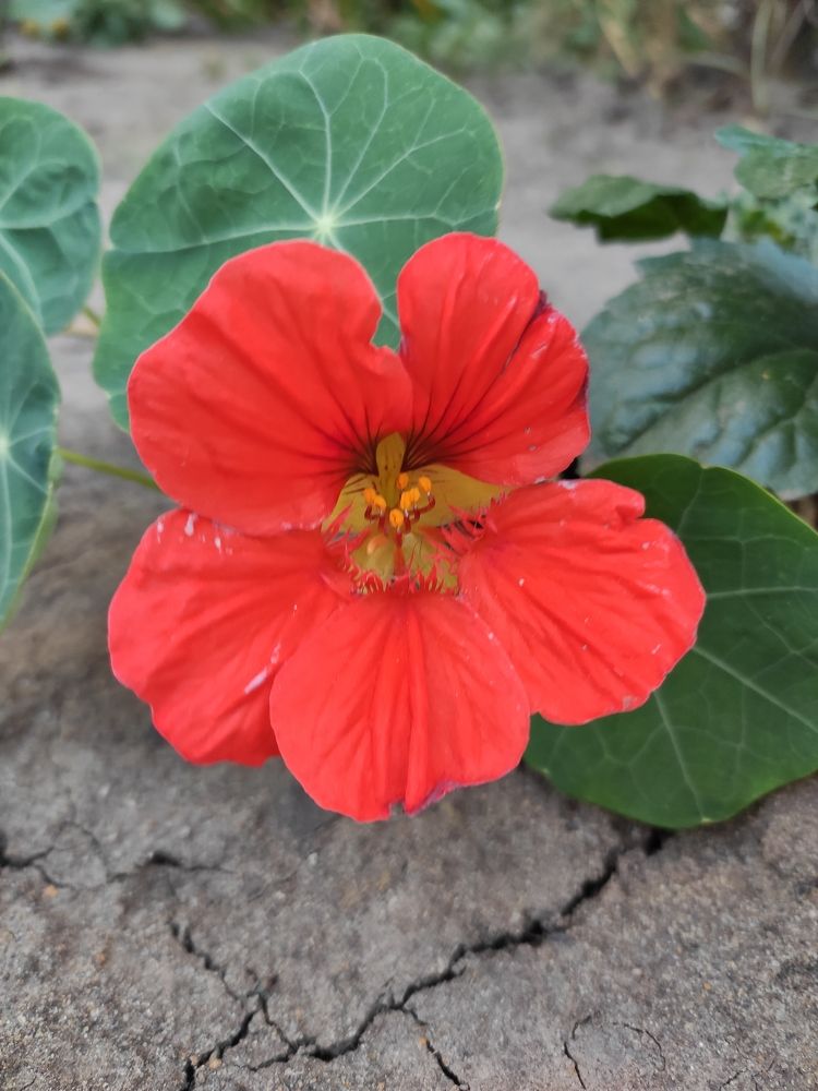 Photograph by Сидорова Ирина