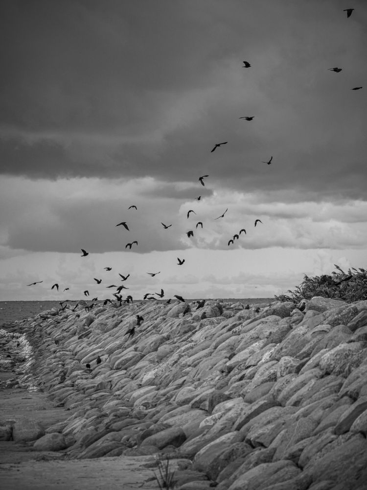 Photograph by Valdis Serzhans