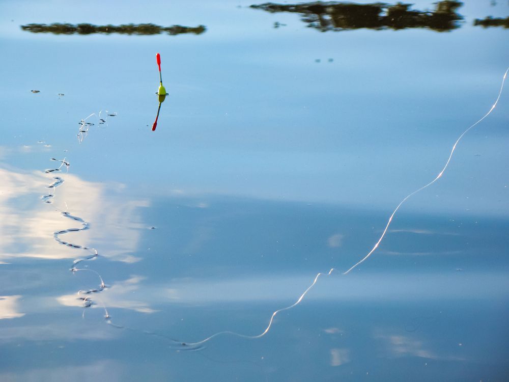 Радости лета