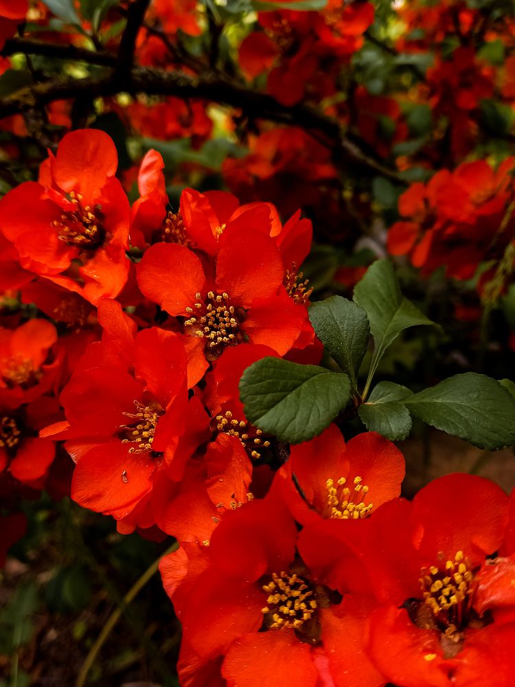 Photograph by Svetlana Yurasova