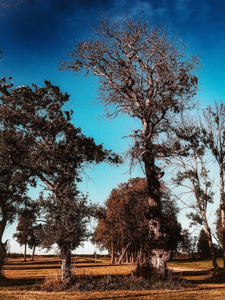 Photograph by Ирина Иванова