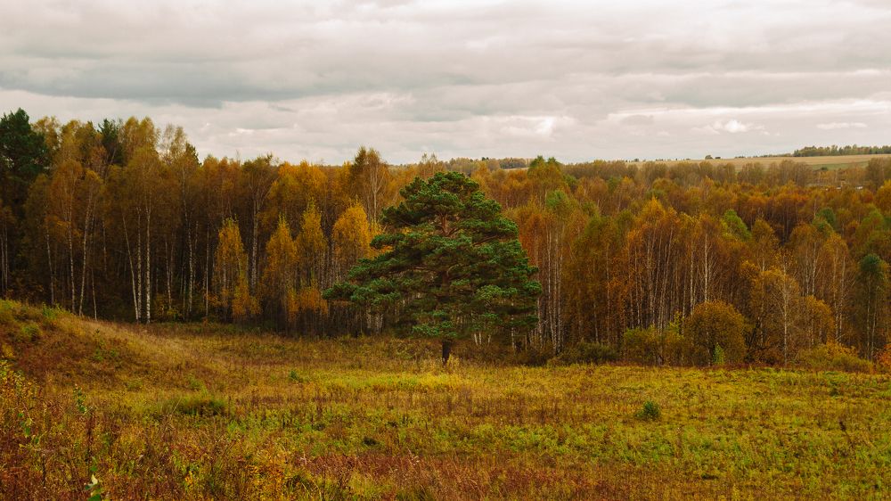 Фотография автора Георгий Петров