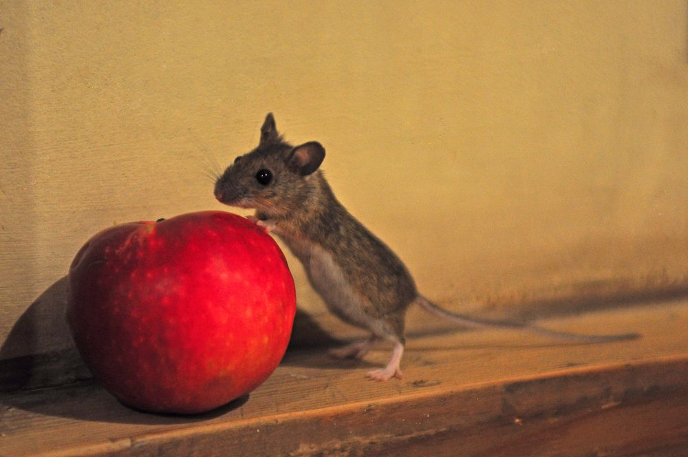 Photograph by Юрий Яковлев