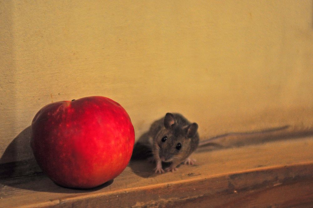 Photograph by Юрий Яковлев