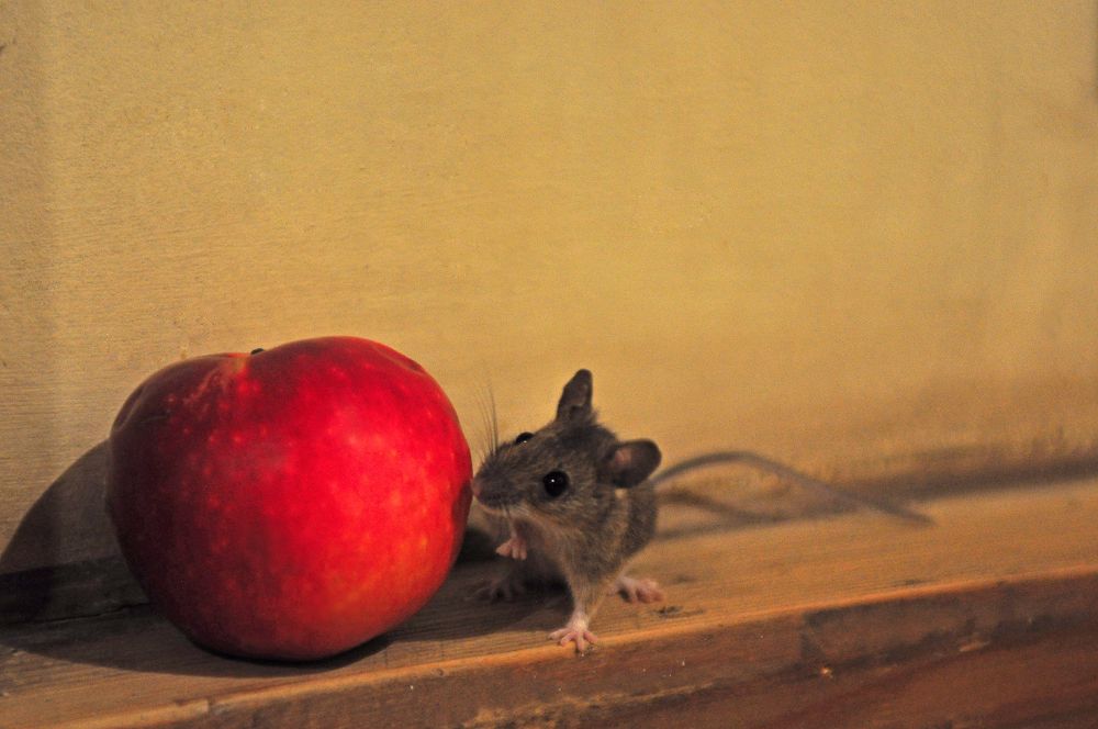 Photograph by Юрий Яковлев