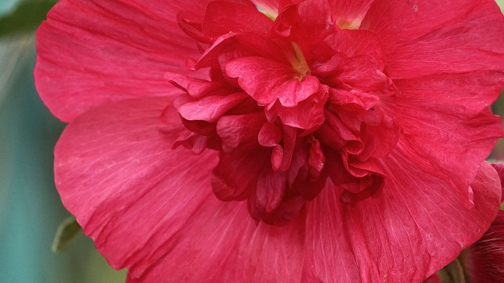 Photograph by Михаил Трусов