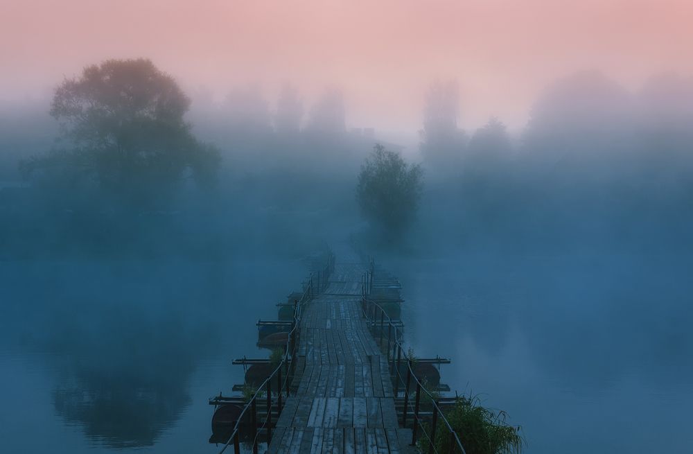 Photograph by Елена Потемина