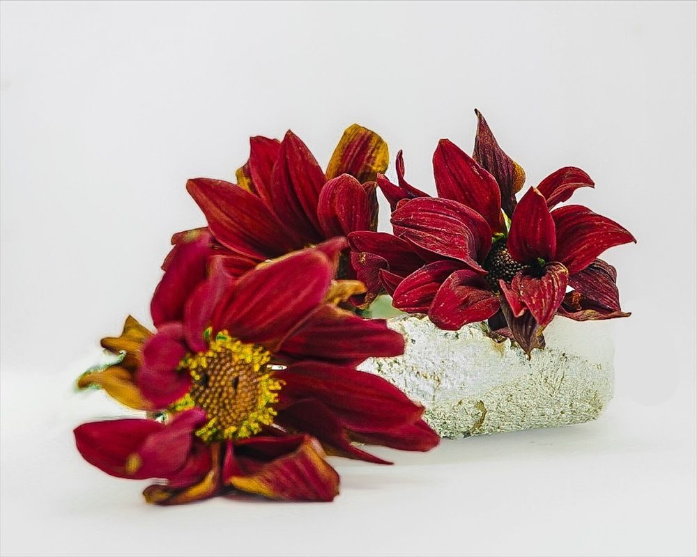 Photograph by Татьяна Гринько