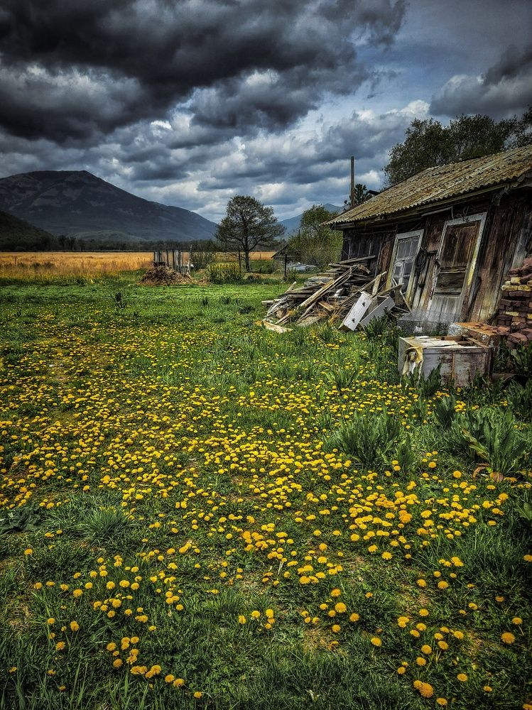 Photograph by Наталья Чередниченко