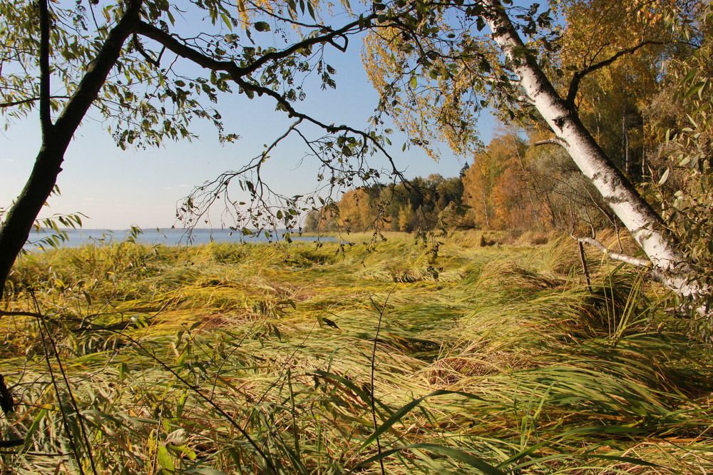 Photograph by Ирина