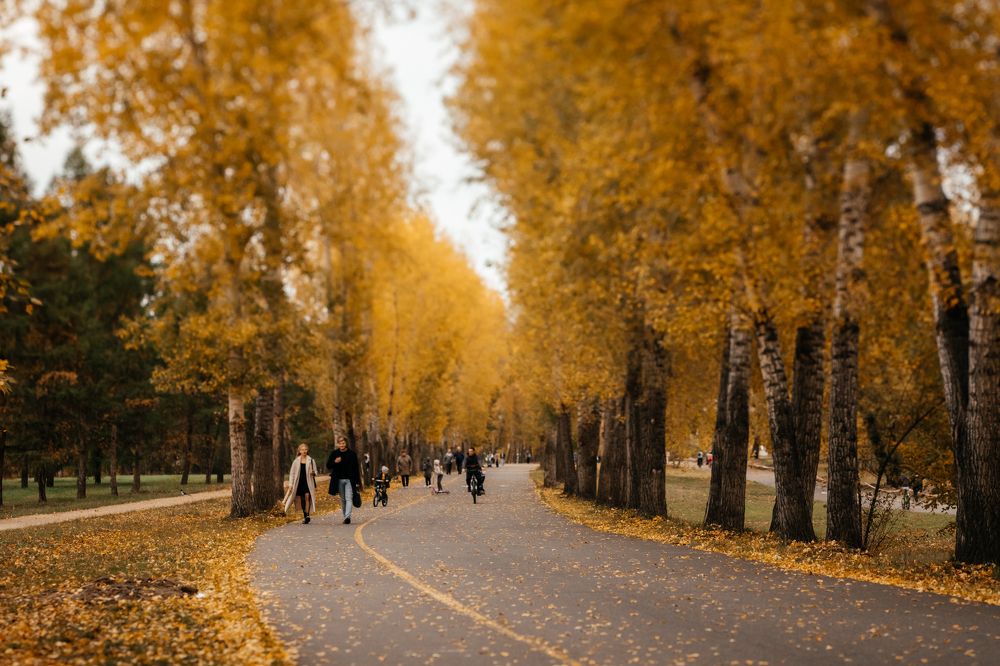 Photograph by Корчагина Оксана