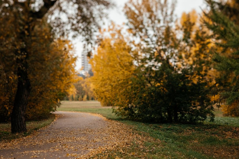 Photograph by Корчагина Оксана