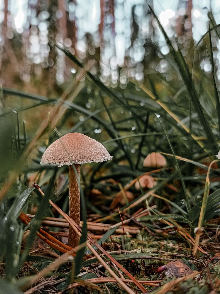 Photograph by Ирина Иванова