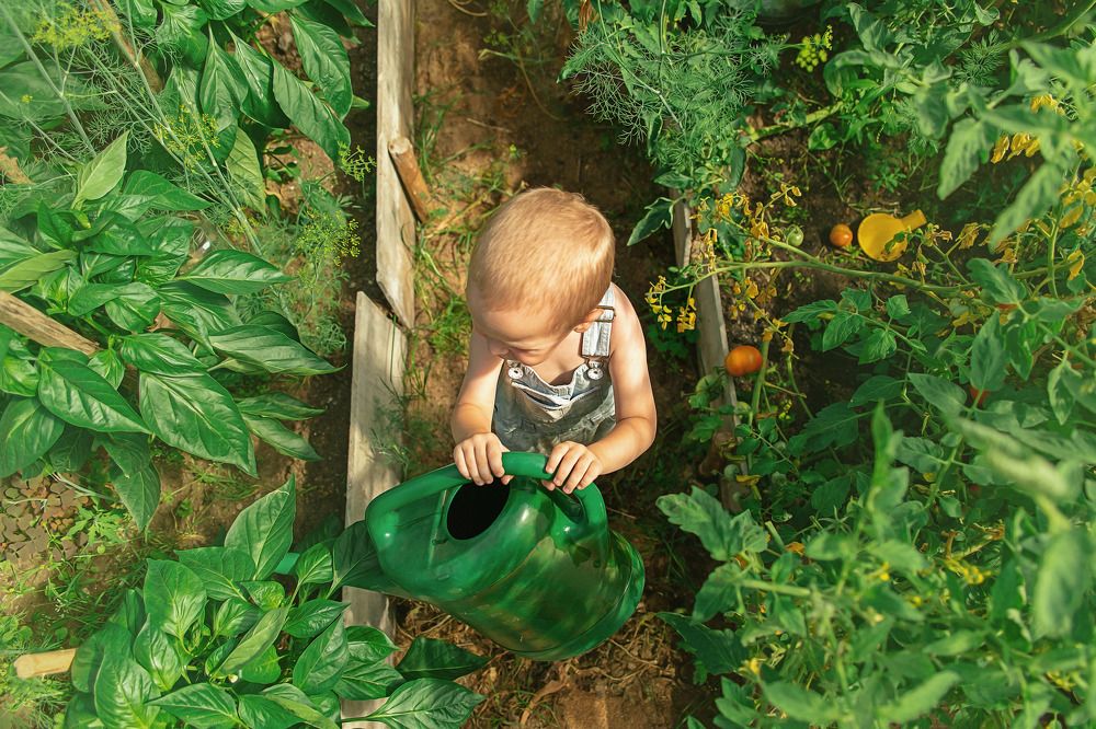 Photograph by Лидия Тюлькубаева