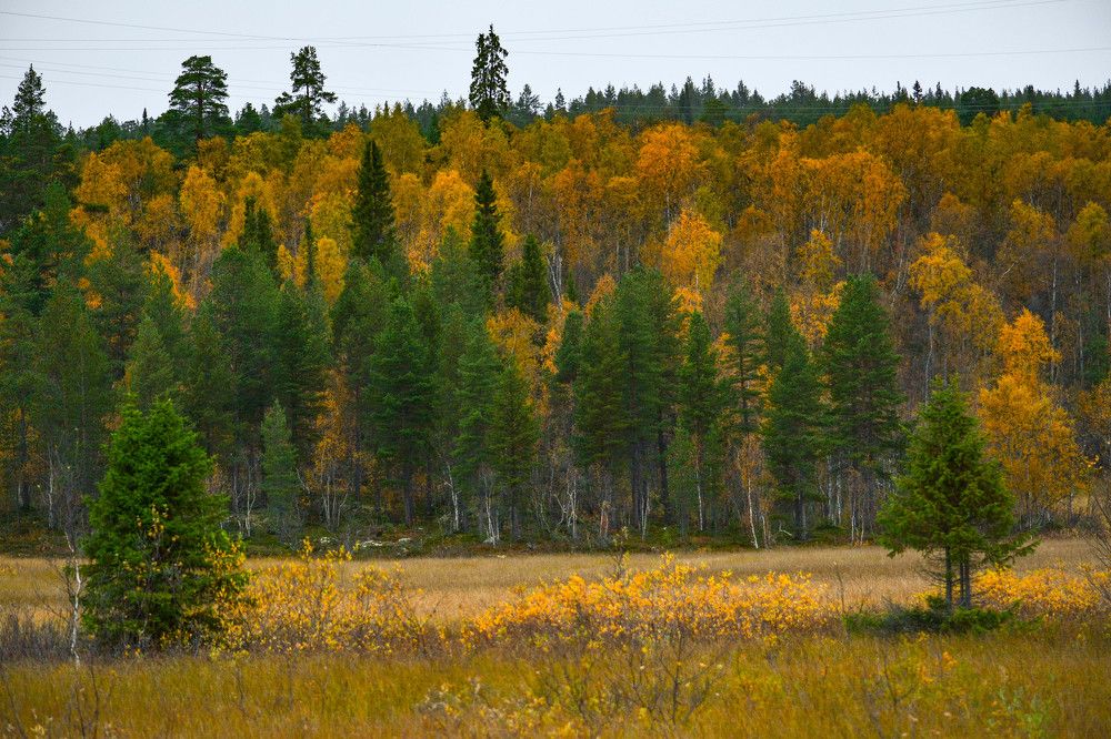 Photograph by Tanzilya Gabidullina