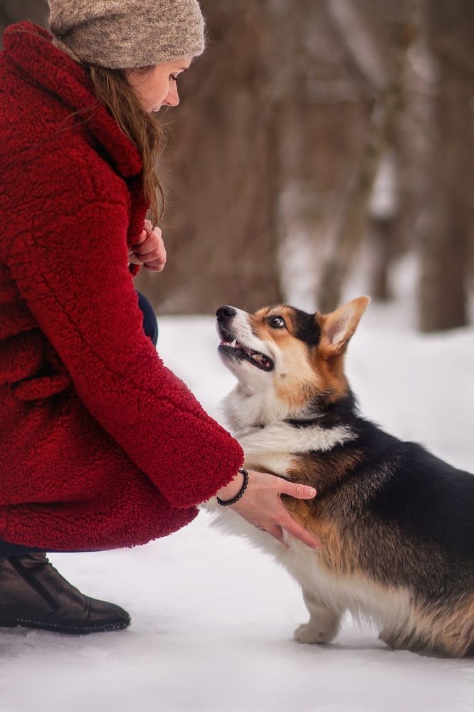 Photograph by Ангелина Ледовская