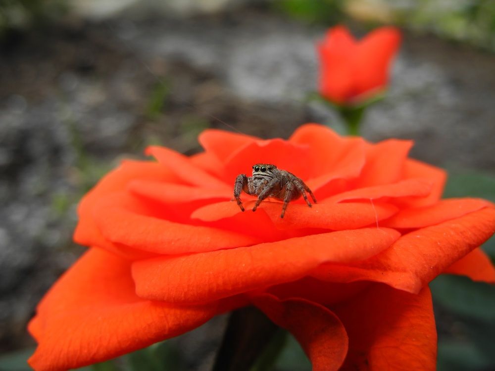 Photograph by Андрей Головин