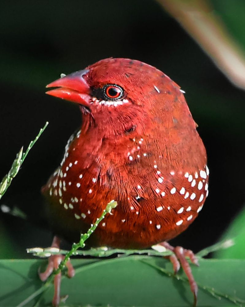 Фотография автора Sunny Vaghadia