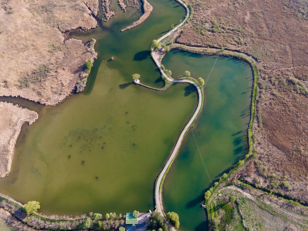 Photograph by Евгений Шмидт