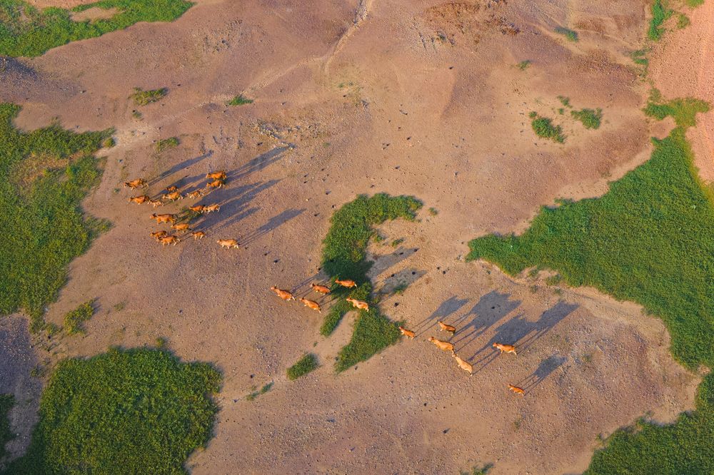 Photograph by THANH RÒM