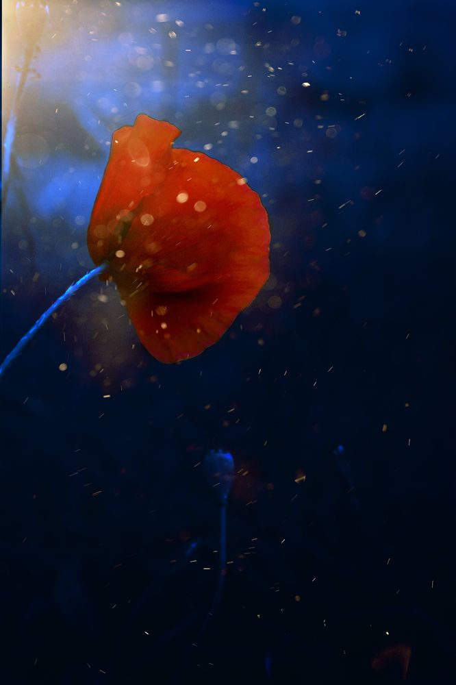 Photograph by Нина Сучкова