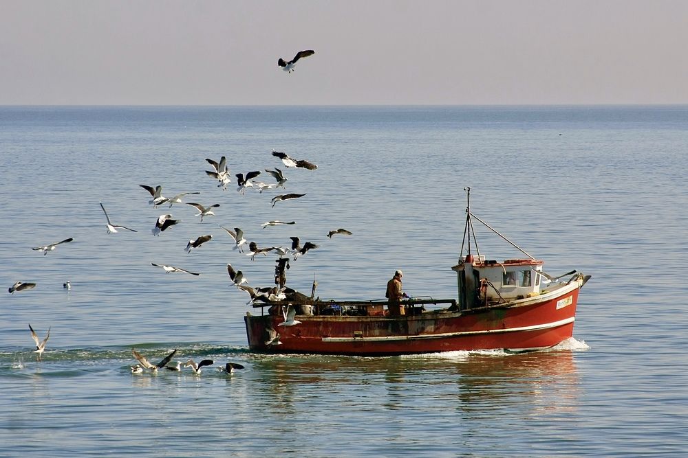 Photograph by Олег Банковский