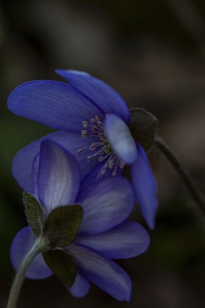 Photograph by Ольга Крючкова