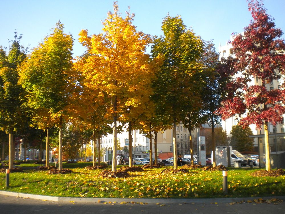 Photo #8082806