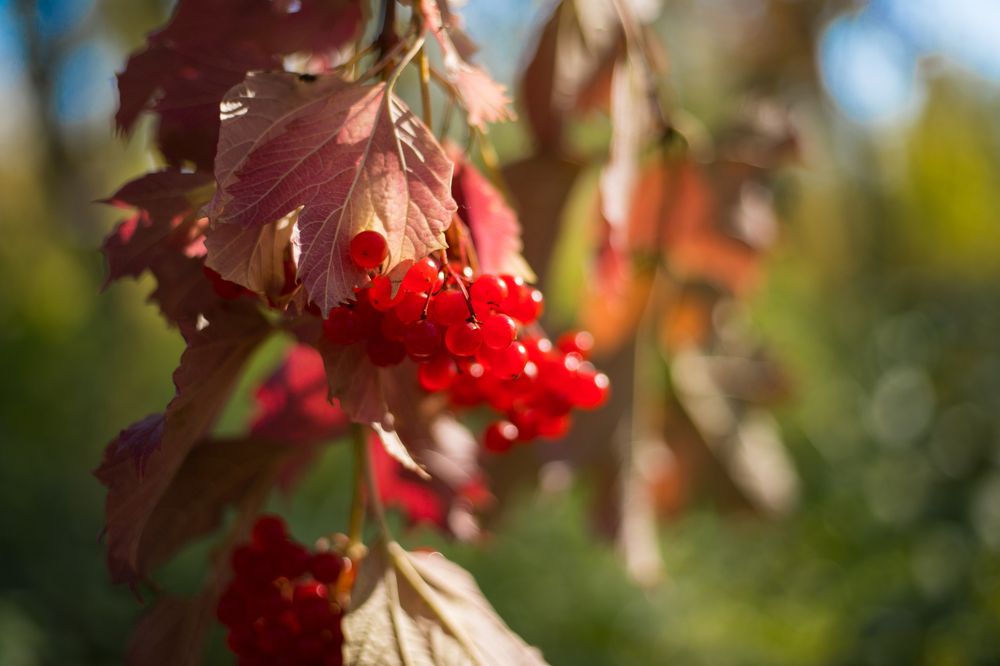 Photograph by Константин Искучеков